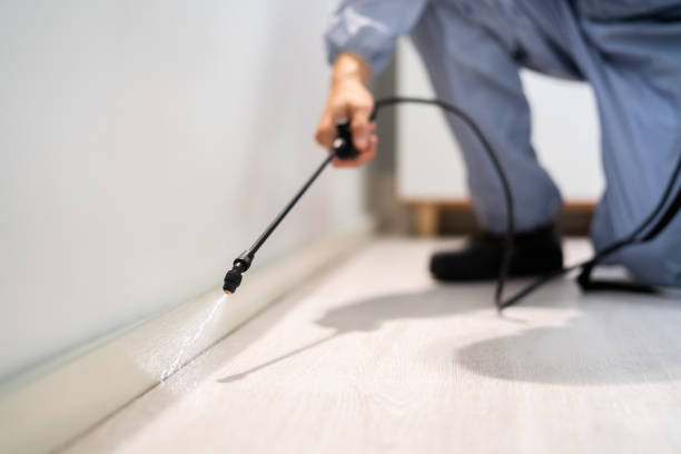 Licensed Exterminator service in Yorktown Heights, NY - Show Me Pest Control